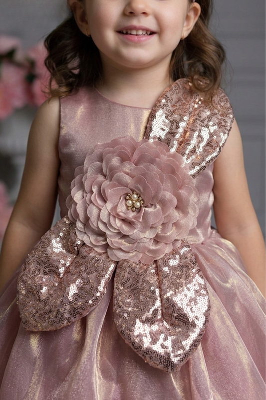 Blush Pink Shimmer Party Frock with Floral Applique & Sequin Bow Detail