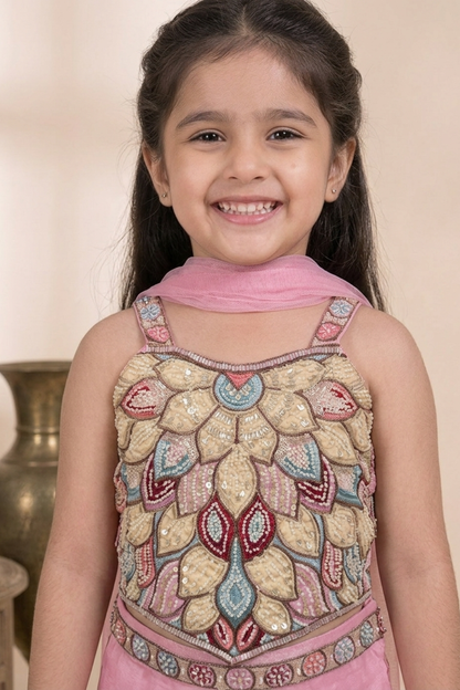 Blush Pink Premium Glass Tissue Embroidered Crop Top & Palazzo Set for Girls