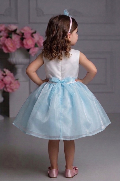 Powder Blue Pearl Embellished Party Frock with 3D Floral Accent