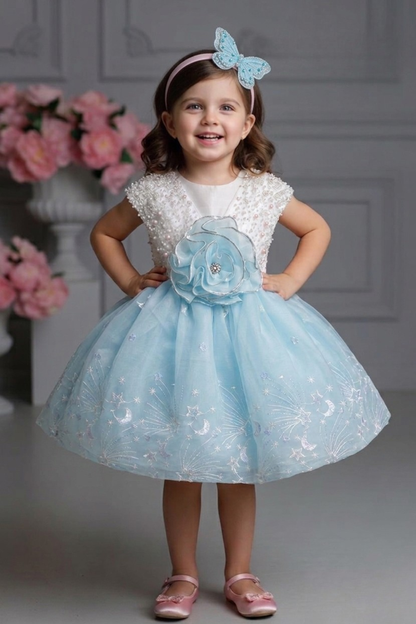 Powder Blue Pearl Embellished Party Frock with 3D Floral Accent